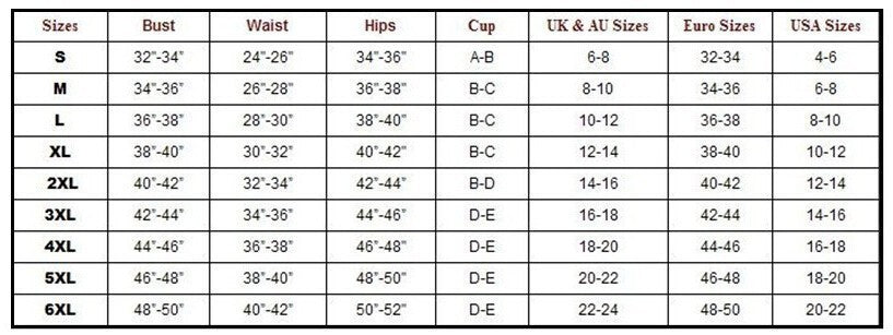 Women's Plus Size One-piece Swimsuit
