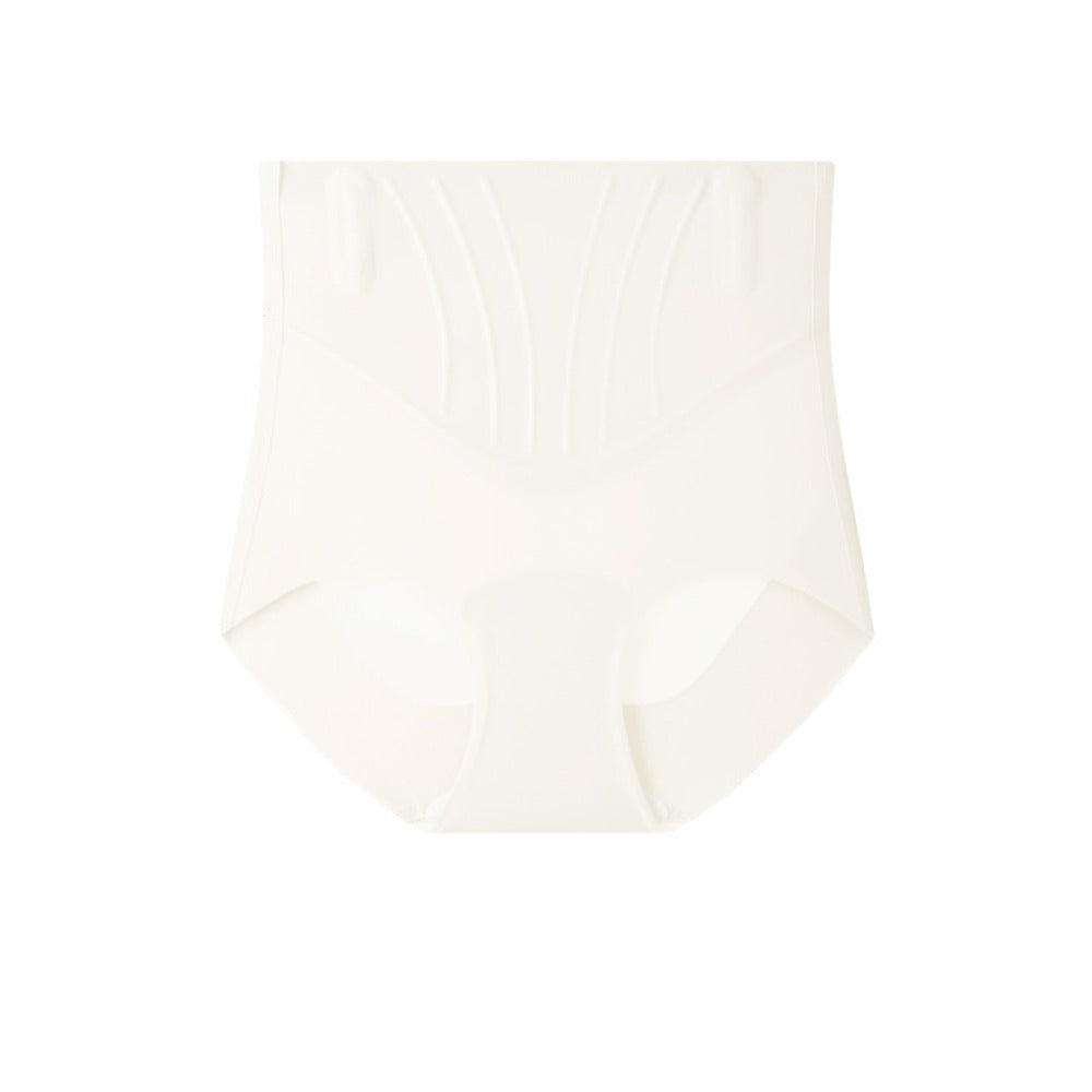 High Waist Sculpting Shaping Brief