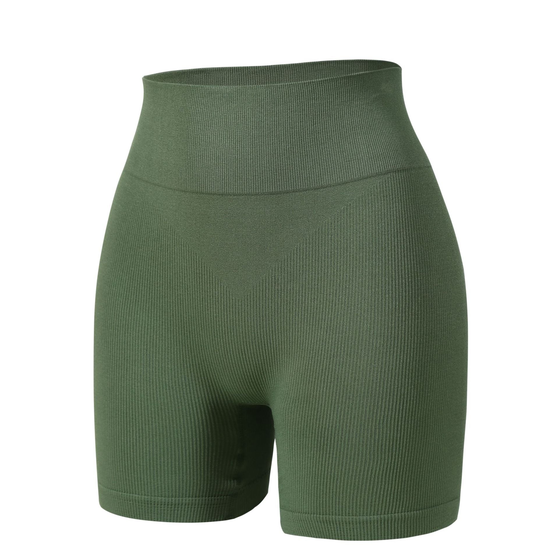 High Waist Sculpting Shaping Shorts