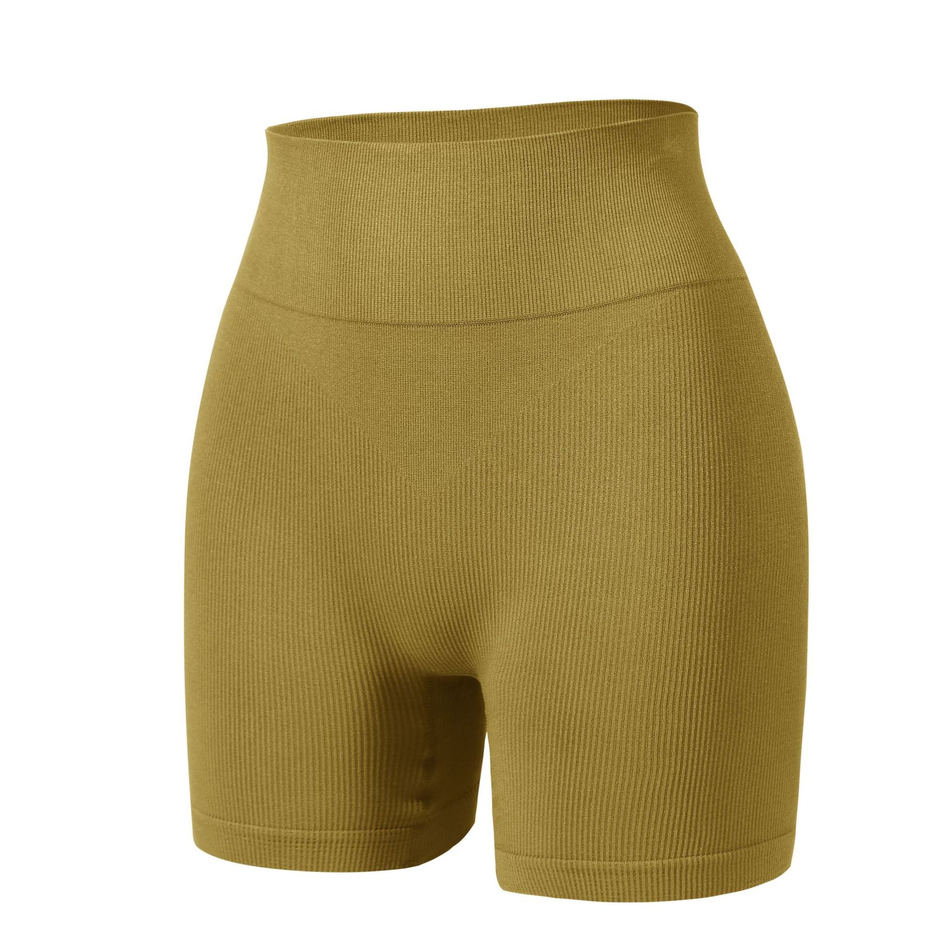 High Waist Sculpting Shaping Shorts