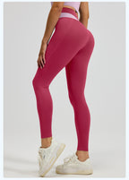 High-Waist Sculpting Performance Legging