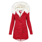 Elegante Damen-Steppjacke mit Kapuze und weißem Kragen